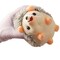 Hedgehog Shape Pin Cushion, Cute Pincushions Sewing Kit Lovely Needle Cushions Pins Holder Sewing Accessories Supplies with 100Pcs Colored Butterfly Pins for Quilting DIY Crafts Patchwork